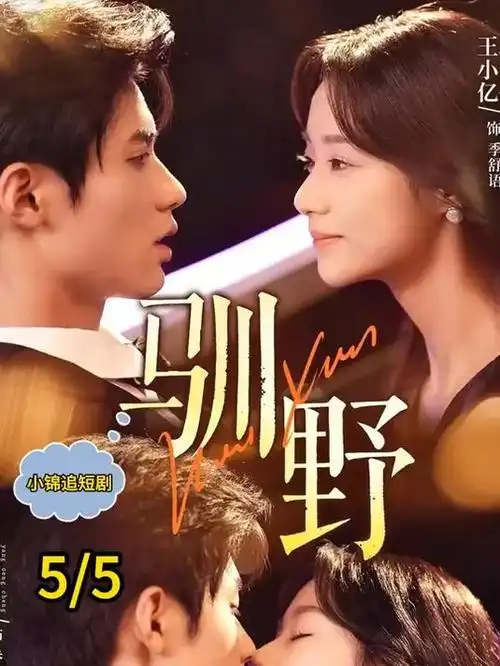 九号档案室刑侦电视剧全集免费观看